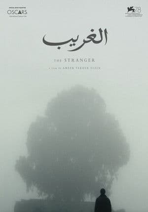 The Stranger (2021)